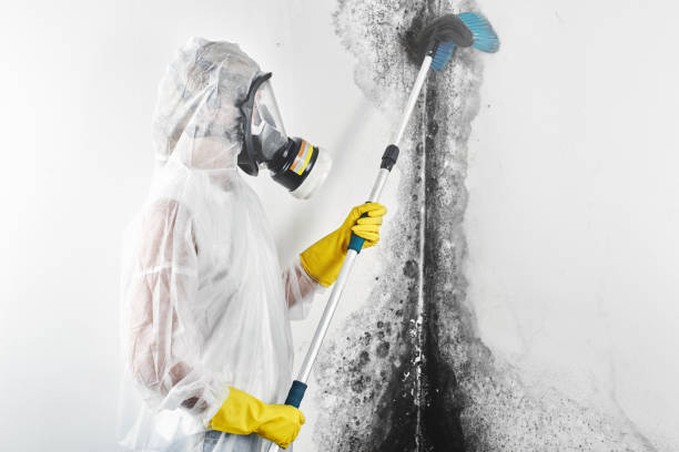 Best Mold Removal for HVAC Installations  in Tyrone, OK