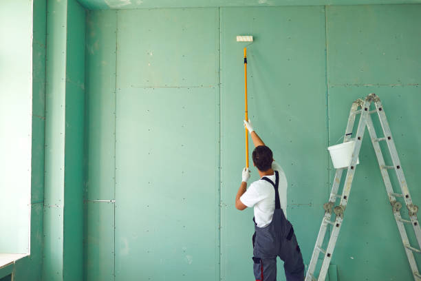 Best Post-Construction Mold Inspection  in Tyrone, OK