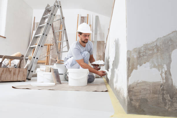Best Black Mold Removal  in Tyrone, OK