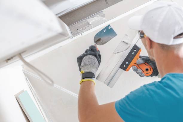 Best Asbestos and Lead Testing During Mold Inspection  in Tyrone, OK